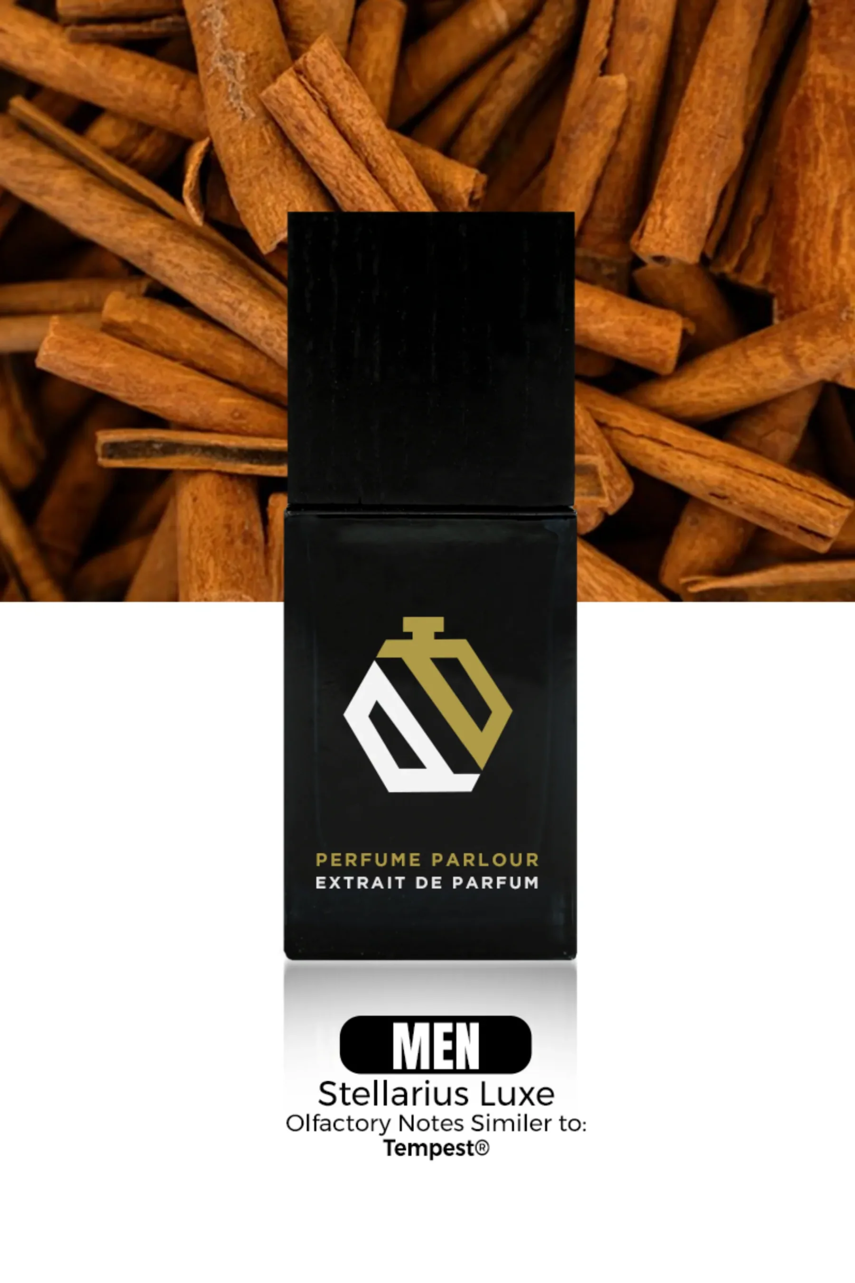 Stellarius-Luxe-For-Men—0634 (1)